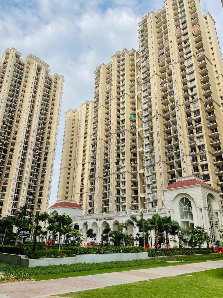 prateek begonia sidharth vihar